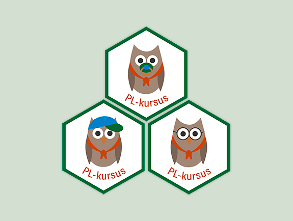 pl kursus